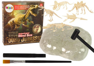 Archeologiczne Wykopaliska Szkielet Dinozaura