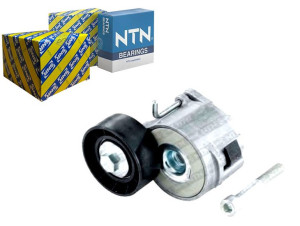 Snr Napinacz Paska Wielorowkowego Cadillac Bls Fiat St