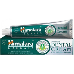 Dental Cream ajurwedyjska pasta do zębów z naturalnym fluorem 100g