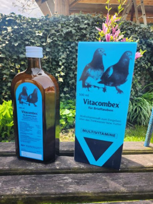 Vitacombex 500 ml multiwitamina