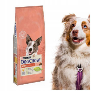 Karma Purina Active Dla Psa Kurczak 14kg