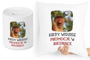 Nosacz Janusz Zestaw Poduszka + Skarbonka Prezent