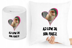 Nosacz Janusz Zestaw Poduszka + Skarbonka Prezent