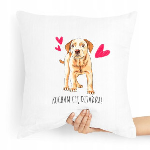 Poduszka Na Dzień Dziadka Kocham Cię Dziadku!