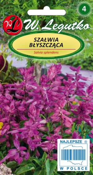 Szałwia błyszcząca fioletowa 0,3 g