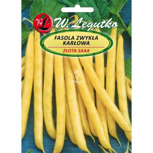 Fasola zwykła karłowa Złota Saxa nasiona 40 g