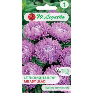 Nasiona Astry Chiński karłowy Milady Lilac 1 g
