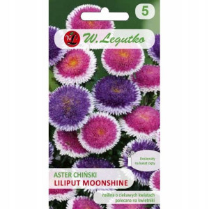 Aster Chiński Liliput Moonshine 0,3 G