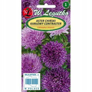 Aster chiński karłowy Contraster 0,5g