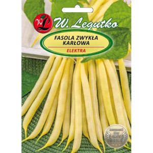 Fasola Elektra nasiona 40 g LEGUTKO