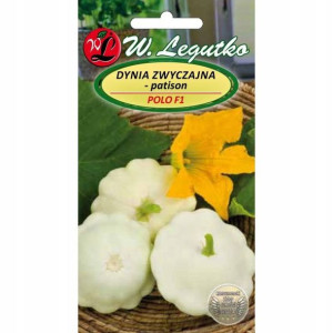 Patison POLO F1 mieszaniec -Dynia zwyczajna