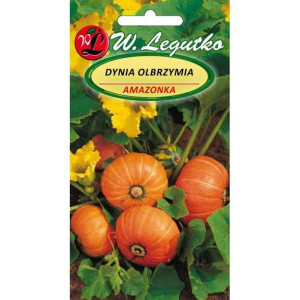 Dynia Olbrzymia AMAZONKA W. Legutko 3 g