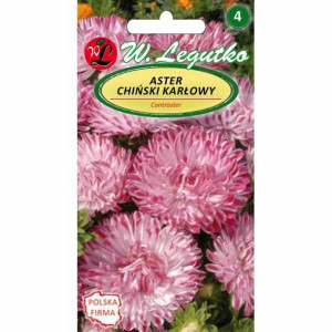 Aster chiński karłowy Contraster 0,5 g biało-róż.