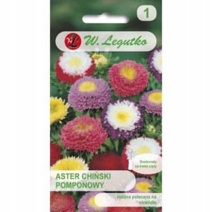 Aster chiński pomponowy 1,25 g mix kolorów