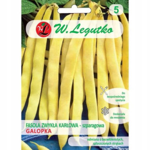 Fasola zwykła karłowa- szparagowa Galopka 40g