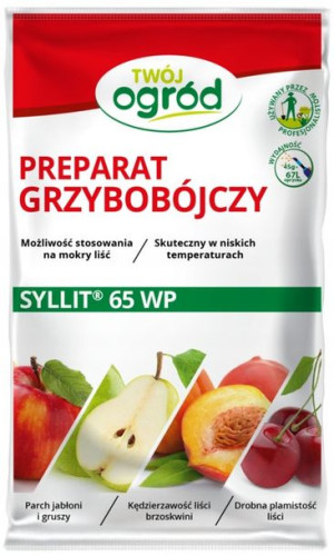 Syllit 65 Wp 45 Gr To
