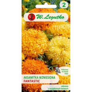 Aksamitka Wzniesiona Fantastic Mieszanka 0,4 G