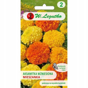 Aksamitka Wzniesiona Mieszkanka 1 G Legutko