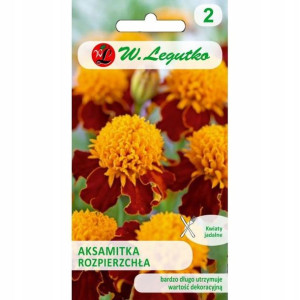 Aksamitka Rozpierzchła Orange Flame 1 G