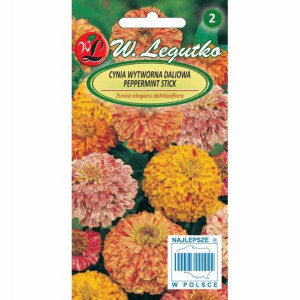 Cynia Wytworna Daliowa Pepermint Stick 1g