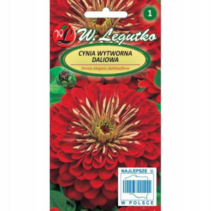 Cynia - wytworna daliowa - Scarlett Flame 1 G