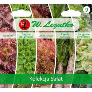 Kolekcja Sałat Legutko 5*0,5g