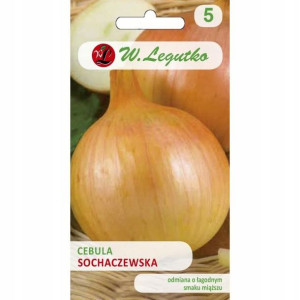 Cebula Sochaczewska 5 G Legutko