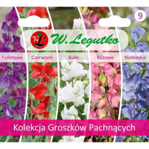 Kolekcja Groszków Pachnących 5*1g Legutko