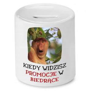 Skarbonka Nosacza Kiedy Widzisz Promocje W Biedrze