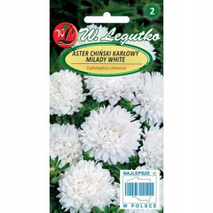 Aster chiński karłowy milady white 1 g