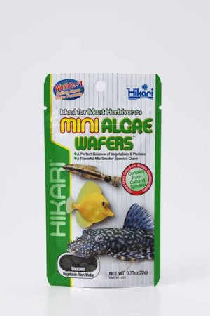 Hikari Mini Algae Wafers 22gr - pokarm dla glonojadów