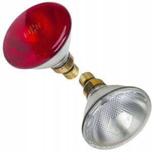 Promiennik żarówka kwoka lampa grzewcza 100 W