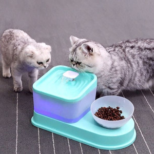 2L Pet Dog Cat Fontanna Do Picia Elektryczny Dozow