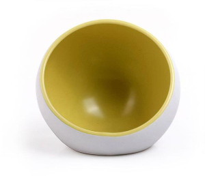 Miska Ceramiczna Dla Zwierząt Domowych Kolorful Mi