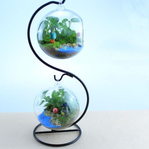 Twórczy Doniczka Szklana Kulka Wazon Terrarium Wys