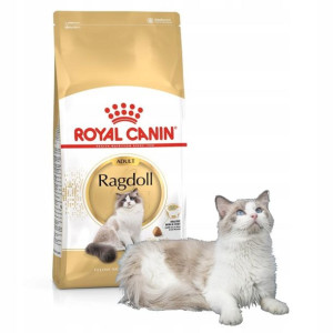 Karma Royal Canin FBN Ragdoll 10kg
