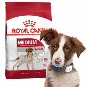 Royal Canin Dog Food Medium Adult 15kg+GRATIS