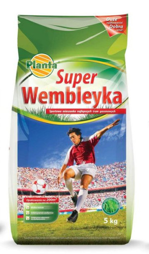 Trawa Super Wembleyka 5 Kg