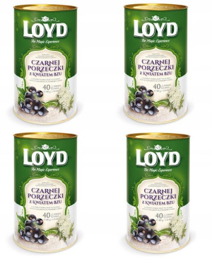 4x LOYD Czarna porzeczka 40 torebek w puszce
