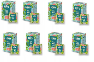 Herbata LOYD BIO Organic Frosty Mint 20 szt x8