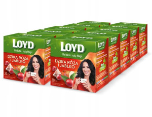 Herbatka owocowa LOYD Dzika Róża i Jabłko 65g x10