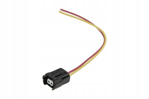 Nty Wtryskiwacza Bwp-au-000
