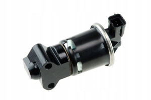 Zawór Egr Daewoo Matiz 0.8 98-