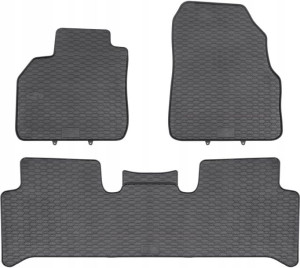 Renault Scenic II 2003-2009 Dywaniki GUMA