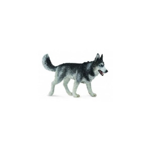 Collecta 88707 Syberyjski Husky