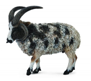 Collecta 88728 Owca Wieloroga