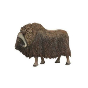 Collecta 88837 Piżmowół Arktyczny