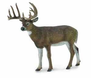 Collecta 88832 Mulak Białoogonowy