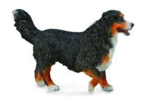 Collecta 88801 Berneński Pies Pasterski
