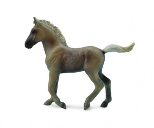 Collecta 88799 Źrebię Rasy Rocky